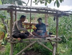 Bhabinkamtibmas Desa Malaju Pantau Perkembangan Tanaman Jagung Warga untuk Dukung Ketahanan Pangan Nasional