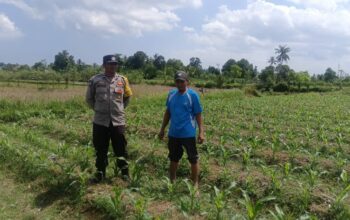 Sinergi Polri dan Petani: Polsek Gerung Galakkan Pemanfaatan Lahan Pekarangan untuk Pangan Bergizi