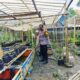 Bhabinkamtibmas Desa Bajur Dorong Kemandirian Pangan Warga Tempit