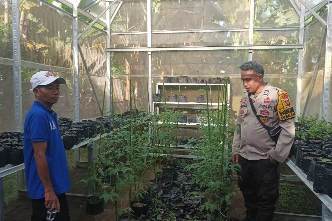 Sinergi Polsek Batulayar dan Warga untuk Pangan Mandiri