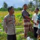 Peran Polisi di Tengah Sawah: Ketahanan Pangan Dimulai dari Dusun Rumak Barat