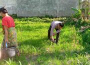 Polri di Lombok Barat Gencarkan Pemanfaatan Lahan Tidur untuk Ketahanan Pangan