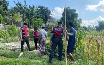 Polisi Lakukan Patroli Tanam Jagung di Dusun Kelebut untuk Dukung Swasembada Pangan
