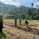 Dukung Ketahanan Pangan, Sat Samapta Sambangi Petani Kebon Ayu