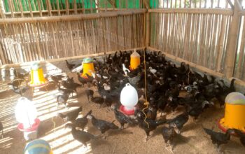 Petani di Kuripan Didorong Polri Manfaatkan Pekarangan untuk Pangan
