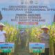 Panen Raya Jagung di Malang, Wujud Nyata Komitmen Polri dalam Ketahanan Pangan Nasional