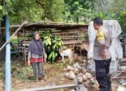 Ketahanan Pangan Dimulai dari Desa: Inisiatif Polisi di Senggigi Lombok Barat