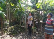 Sinergi Polri dan Warga Jagaraga: Lahan Kosong Disulap Jadi Sumber Pangan Keluarga