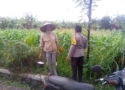 Bhabinkamtibmas Jagaraga Motori Pemanfaatan Pekarangan untuk Swasembada Pangan
