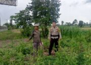 Sinergi Polisi dan Petani di Labuapi: Pemanfaatan Pekarangan untuk Pangan Keluarga