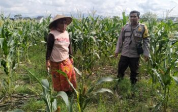 Sinergi Polisi dan Warga Karang Kebon untuk Kemandirian Pangan Lokal