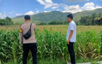 Polsek Kuripan Bangun Kolaborasi dengan Petani Jagung di Desa Kuripan Selatan