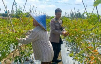 Kapolsek Labuapi Apresiasi DDS Bhabinkamtibmas Perampuan di Karang Bayan