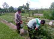 Dukungan Polri Bagi Petani Dusun Tegal: Langkah Nyata Kemandirian Pangan Jagaraga