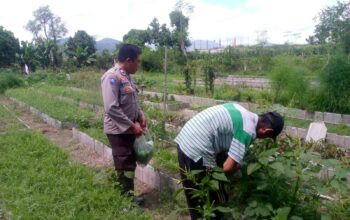 Dukungan Polri Bagi Petani Dusun Tegal: Langkah Nyata Kemandirian Pangan Jagaraga