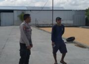Gudang Jagung CV Galatia Disorot Polisi, Dukungan ke Bulog Jadi Harapan Bersama
