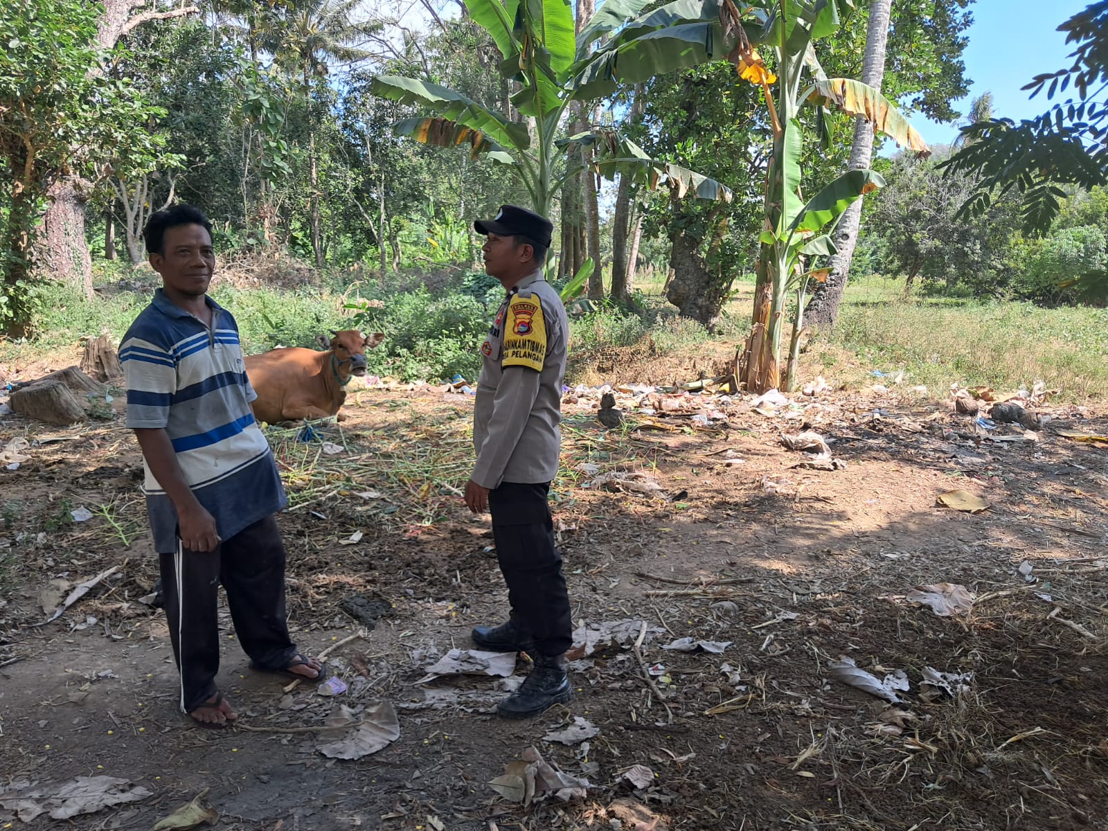 Sinergi Polsek Sekotong dan Warga Pelangan dalam Mewujudkan Kemandirian Pangan