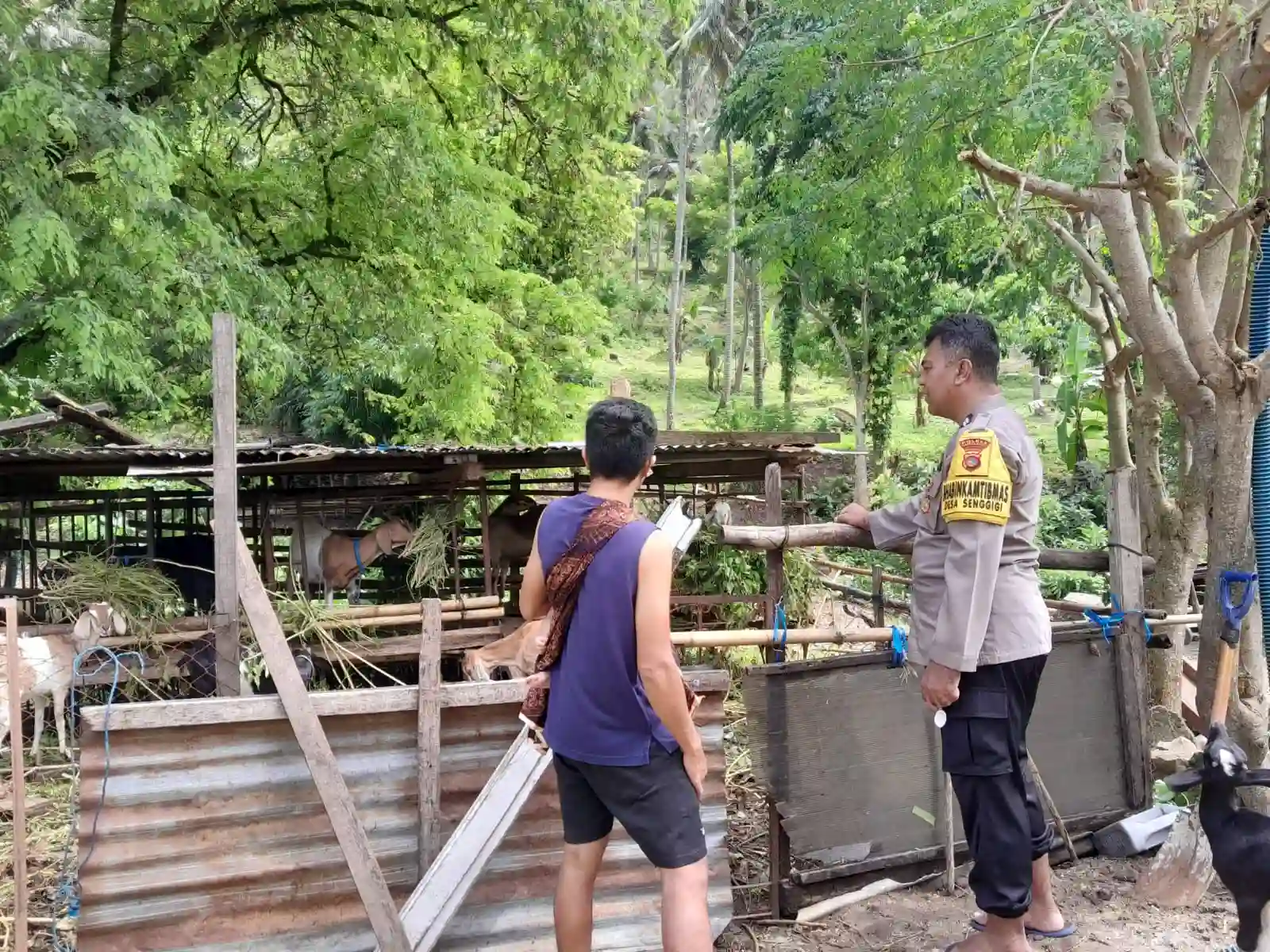 Sinergi Polsek Batulayar dan Warga Senggigi Wujudkan Desa Mandiri Pangan