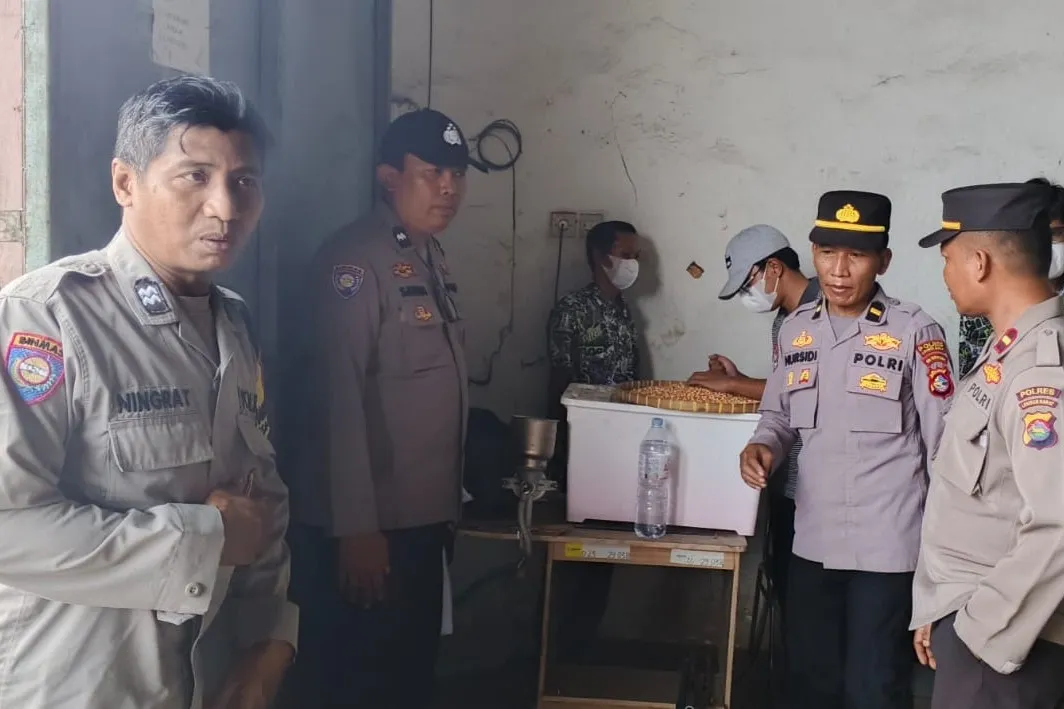 Petani Lega! Jagung Kering Terserap Bulog dengan Harga Acuan Pemerintah