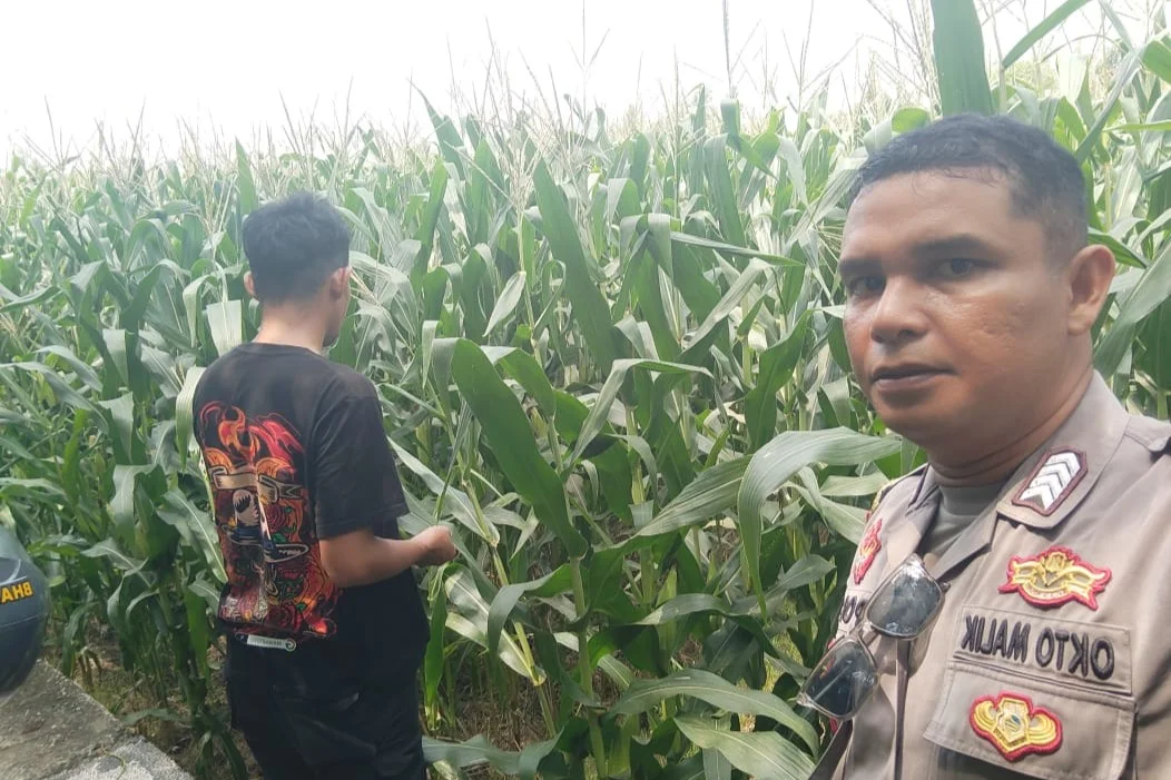 Bhabinkamtibmas Turun ke Sawah, Petani Lombok Barat Kian Semangat
