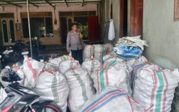 Perhatian Polri untuk Petani: Jagung Beleka Dipastikan Siap Serap BULOG