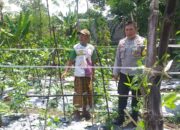 Sinergi Polri-Warga: Pekarangan Rumah Jadi Kunci Mandiri Pangan