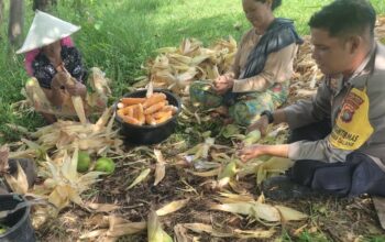 Dari Lahan Pekarangan, Polri Bangun Ketahanan Pangan di Desa