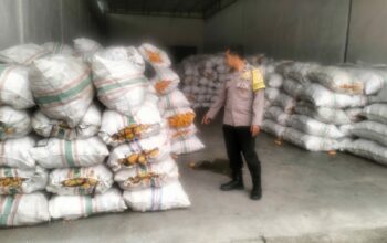 Sinergi Polri dan Bulog Jamin Harga Jual Jagung Petani Lombok Barat