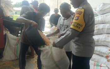 Jaga Kualitas, Polri Bantu Petani Lombok Barat Pipil Jagung