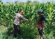 Aksi Nyata Bhabinkamtibmas Labuapi: Edukasi Warga Manfaatkan Pekarangan