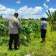 Gerakan Tanam Mandiri, Polisi Labuapi Ajak Warga Manfaatkan Pekarangan Kosong