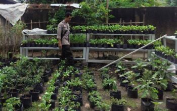 Polsek Labuapi Dorong Ketahanan Pangan di Desa Bengkel