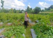 Polri Motivasi Warga Gerung Sulap Lahan Jadi Sumber Pangan