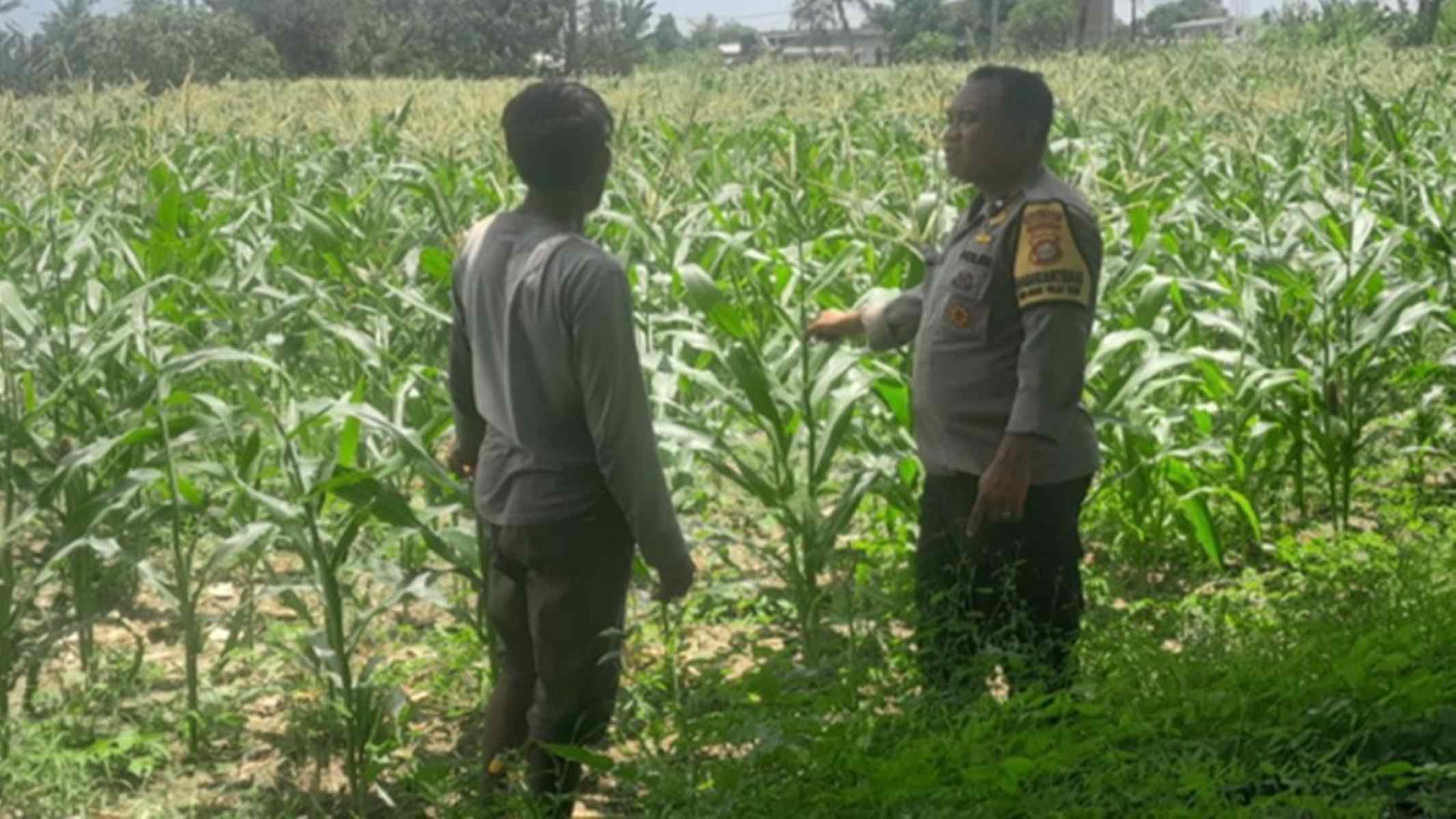 Polisi di Lombok Barat Motivasi Petani Optimalkan Lahan