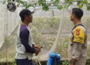 Warga Bengkel Sulap Pekarangan Jadi Lahan Pangan Produktif