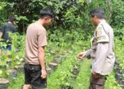 Langkah Polsek Batulayar Dukung Ketahanan Pangan Nasional