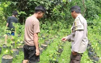 Langkah Polsek Batulayar Dukung Ketahanan Pangan Nasional